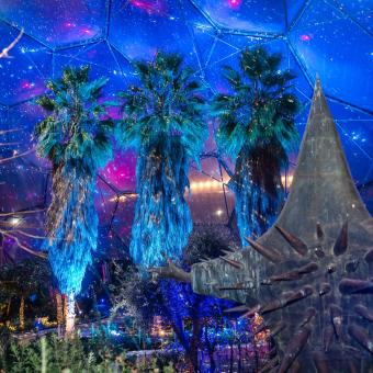 Med Biome lit up for Christmas